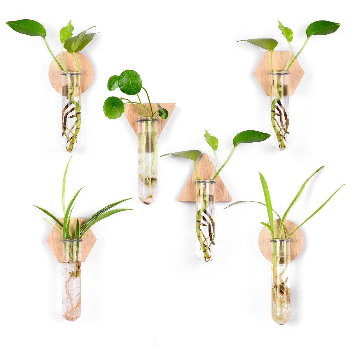 MITIME greenery display on a wall enhancing modern interior