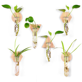 MITIME greenery display on a wall enhancing modern interior