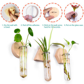 MITIME hexagon module with glass tubes for vertical herb gardening.