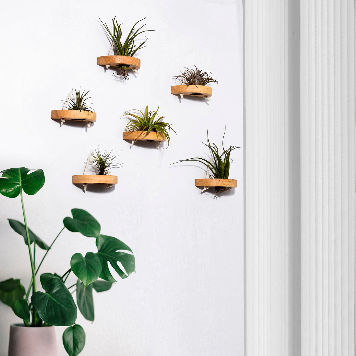 MITIME wall mounting hardware included for quick installation.