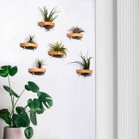 MITIME wall mounting hardware included for quick installation.