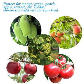 Miuezuth breathable mesh fruit bag demonstrates air flow and light access