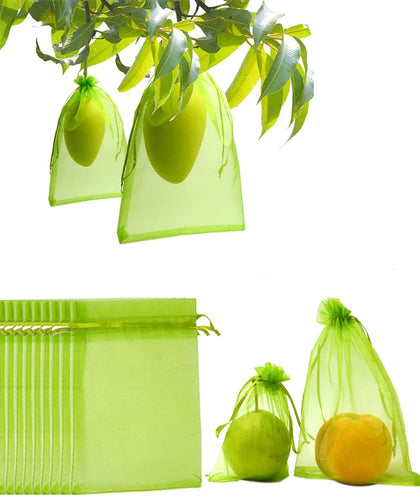 Miuezuth fruit protection bag on a branch protects ripening fruit from birds