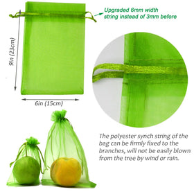 Miuezuth green bag on tree provides bird protection with mesh shielding