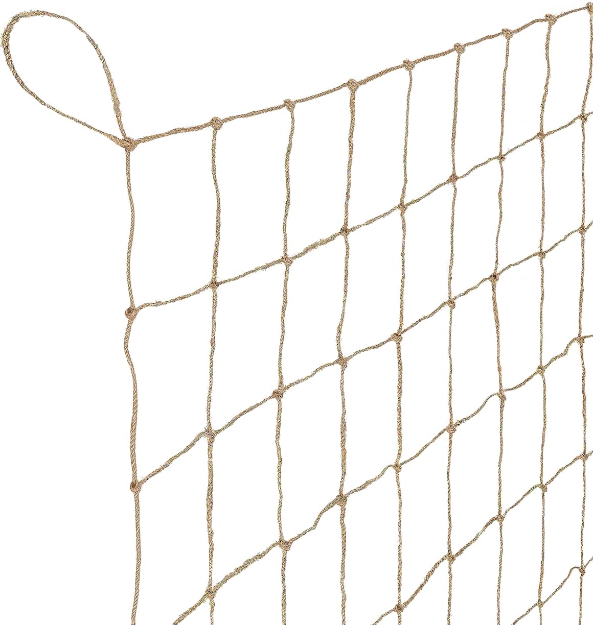 Miuezuth jute netting for climbing plants forming a sturdy garden trellis.
