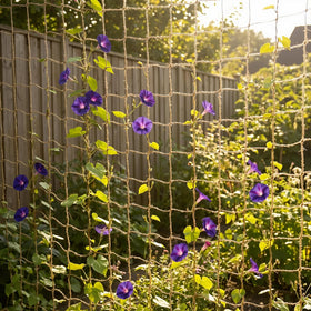 Miuezuth plastic-free packaging for an eco-friendly garden solution.