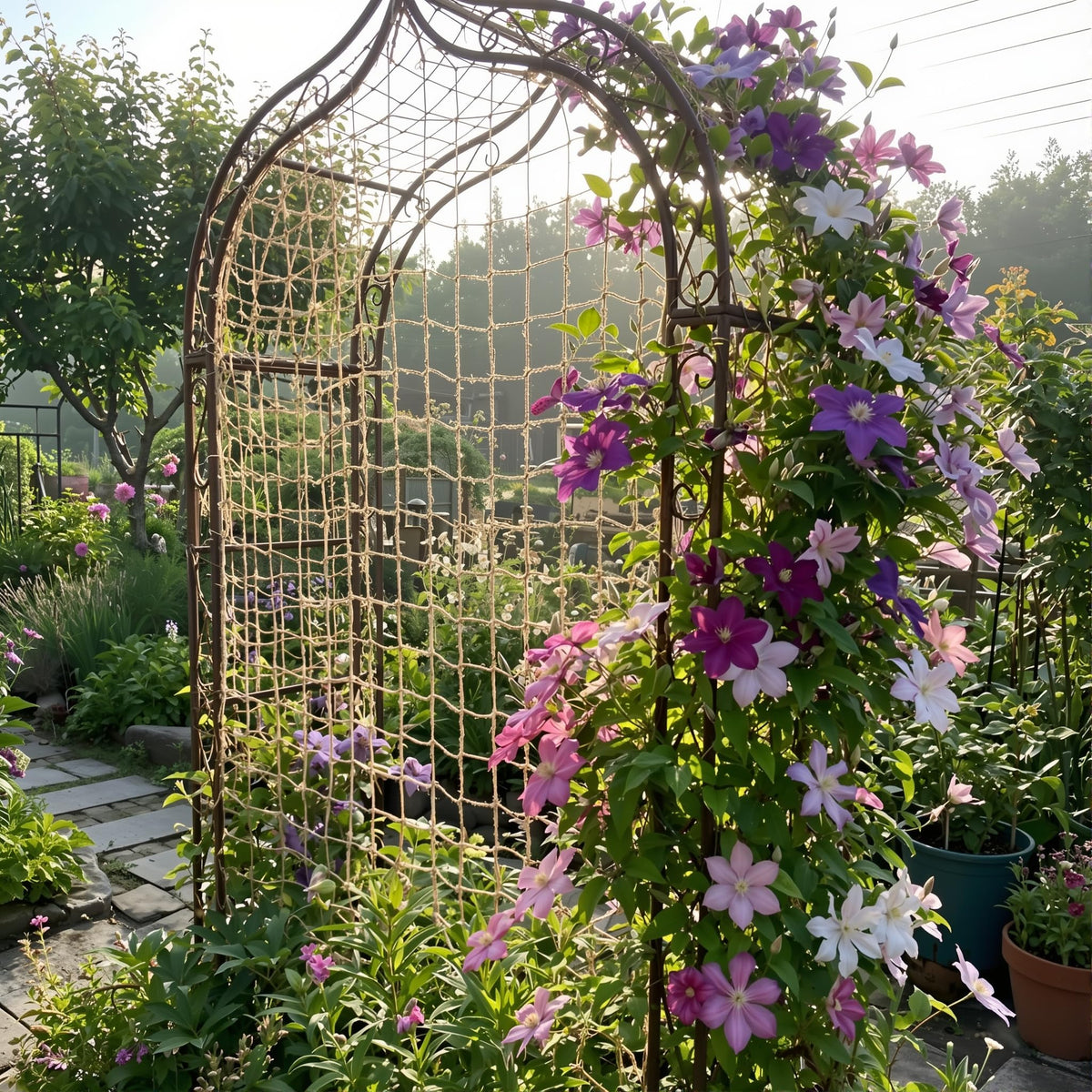 Miuezuth jute netting supporting vines and flowering climbers in a bed.