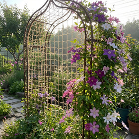 Miuezuth jute netting supporting vines and flowering climbers in a bed.
