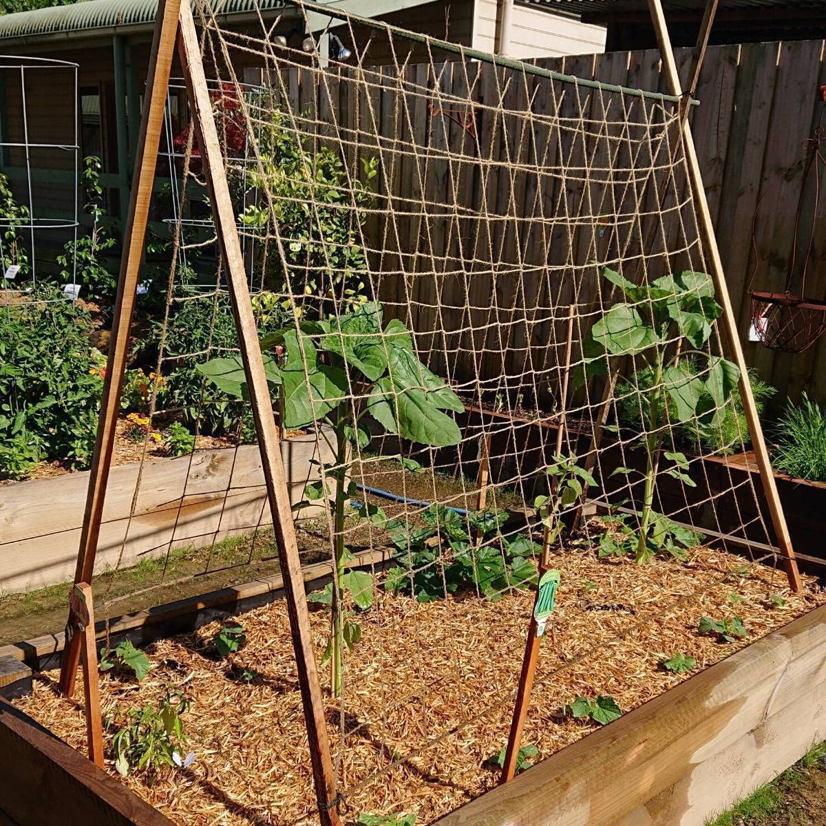 Miuezuth jute trellis netting with cucumbers growing vertically on mesh