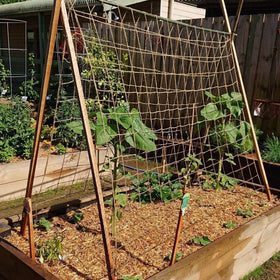 Miuezuth jute trellis netting with cucumbers growing vertically on mesh