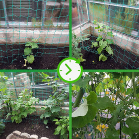Miuezuth nylon garden netting 4x4-inch mesh keeps crops off ground.