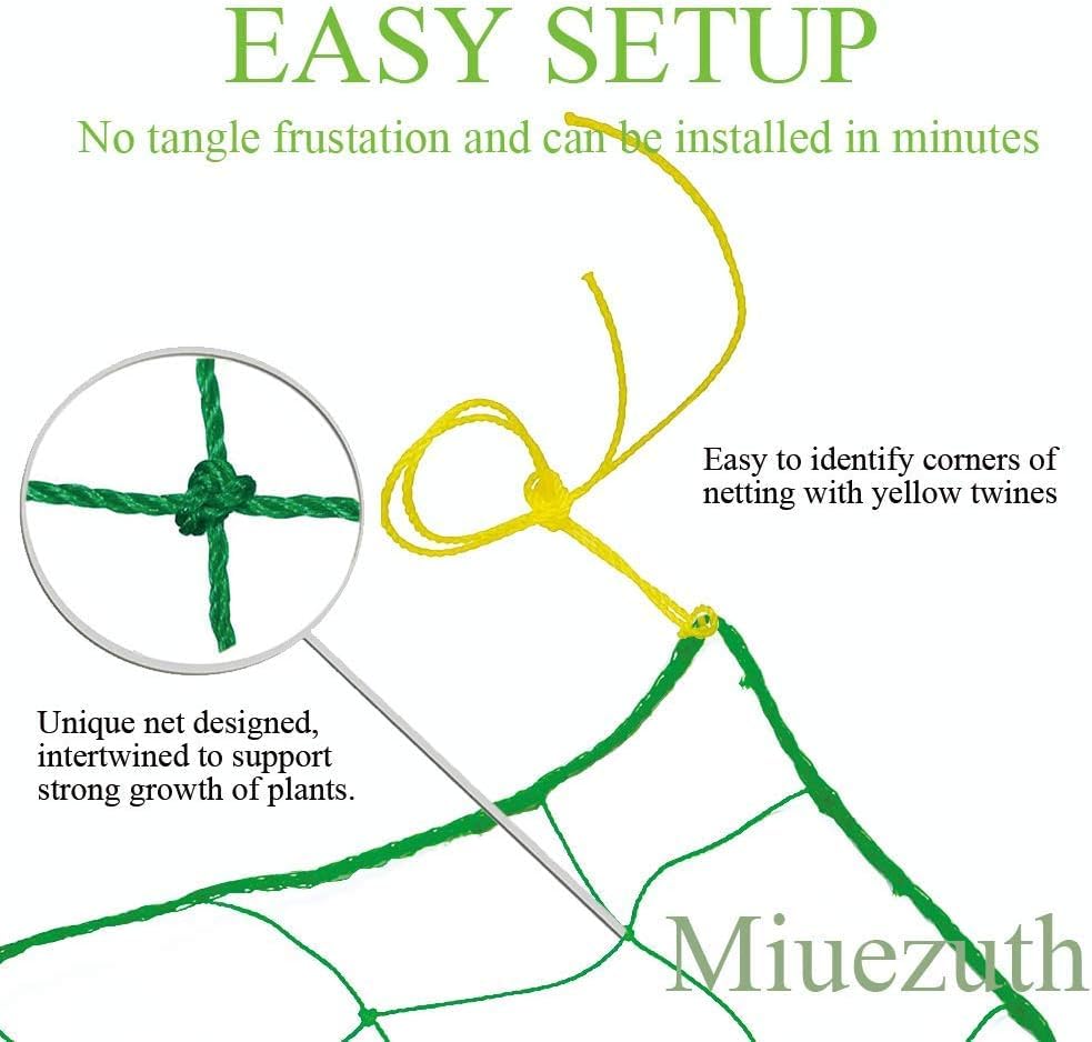 Miuezuth Trellis Netting 3-3ft x 6-6ft set keeps garden peas and beans neatly organized.