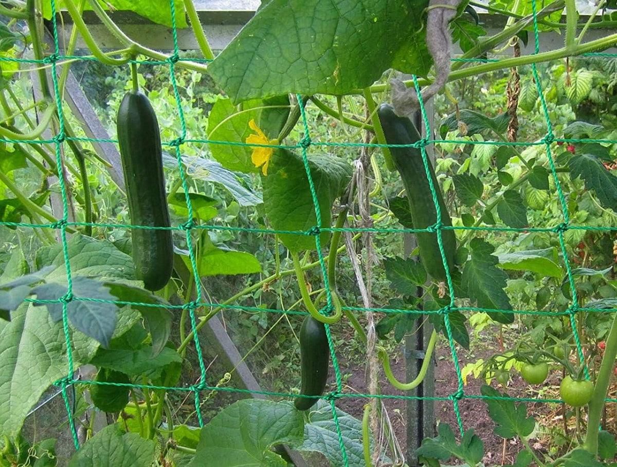 Miuezuth Trellis Netting is easy to install on walls or trees.