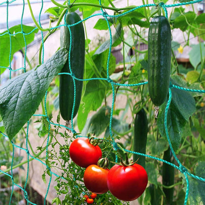 Miuezuth trellis netting heavy-duty 2-pack, ideal garden support.
