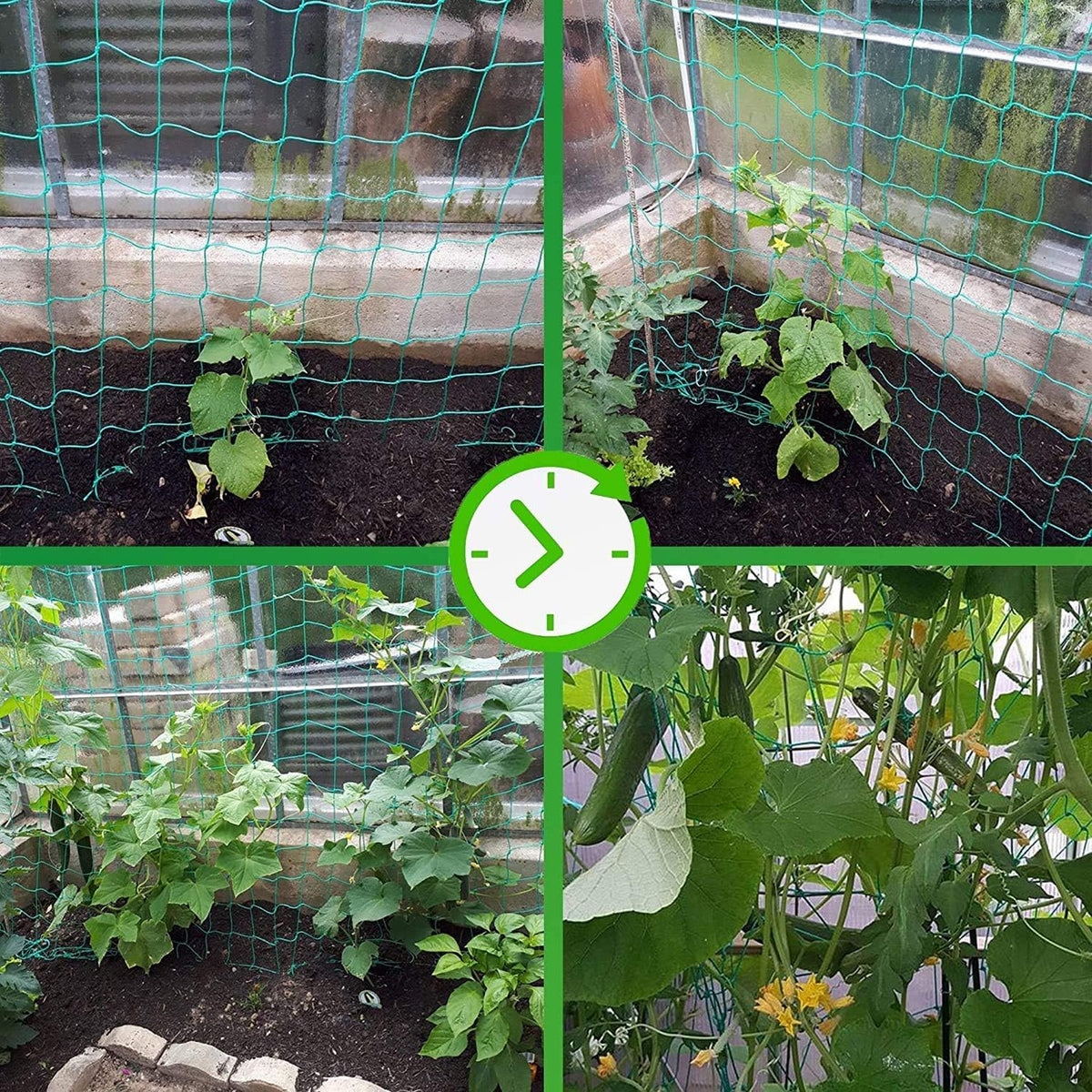 Miuezuth Trellis Netting supports tomatoes and vines while saving space.