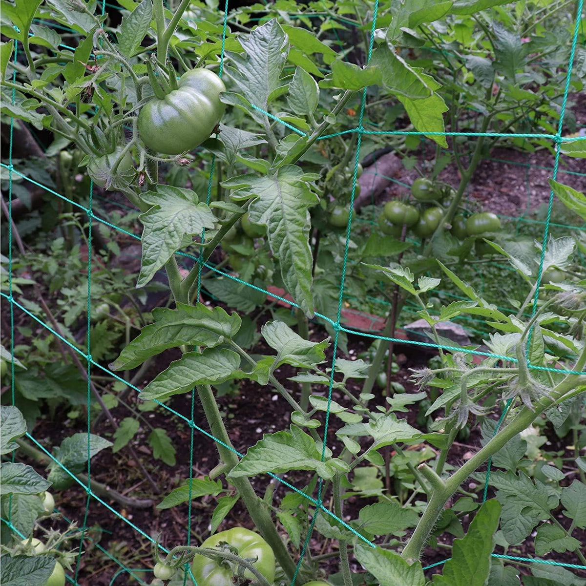 Miuezuth UV-stabilized netting resists weather across seasons.