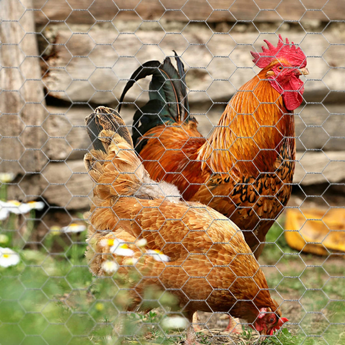 Miuwauer multi-use mesh supports chicken coops, rabbit runs, and garden barriers.