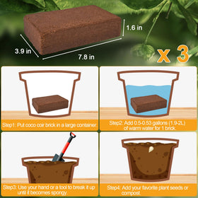Miuwauer coco coir bricks soaking and expanding into fluffy growing medium for seedlings.