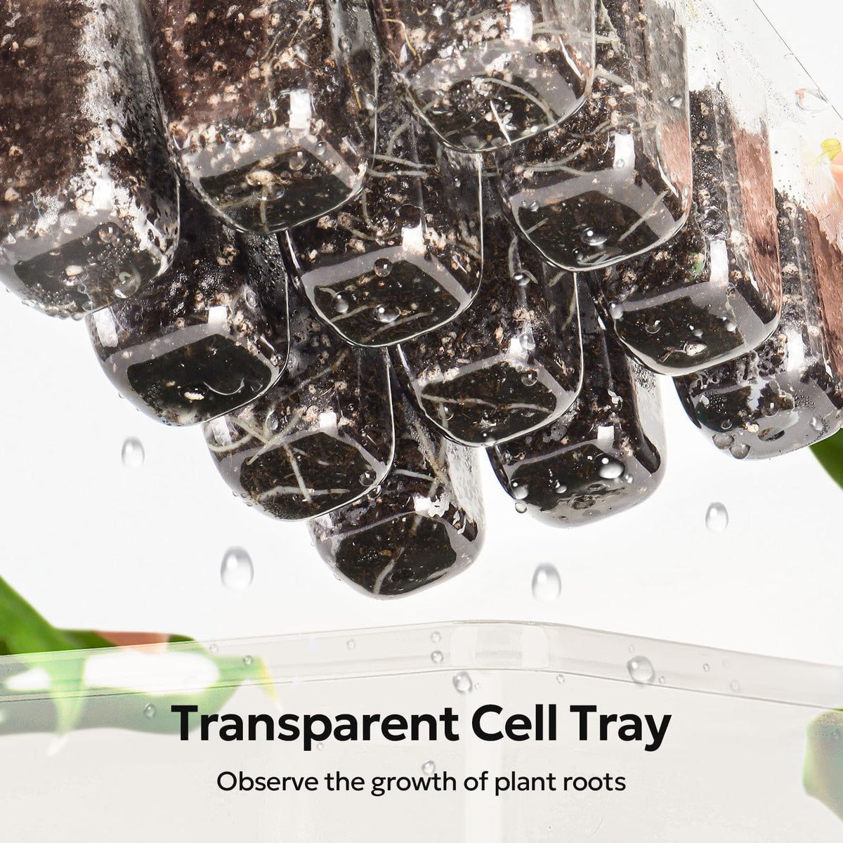 MIXC 120-cell seed tray close-up shows uniform cell size for consistent starts.