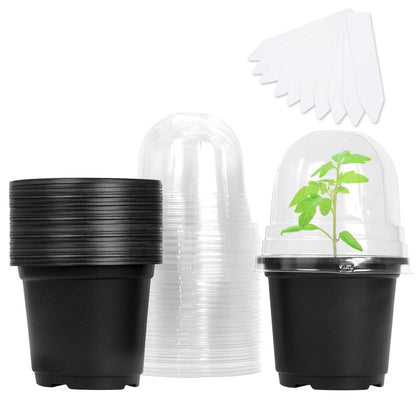 MIXC 4-inch humidity dome pot, top view, ideal for maintaining moisture during germination.