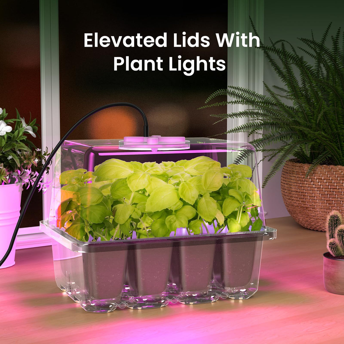 MIXC clear cell tray lets you monitor germination and root development.