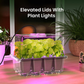 MIXC clear cell tray lets you monitor germination and root development.