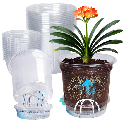 MIXC clear nursery pot 6.5 inch for at-a-glance moisture and root health