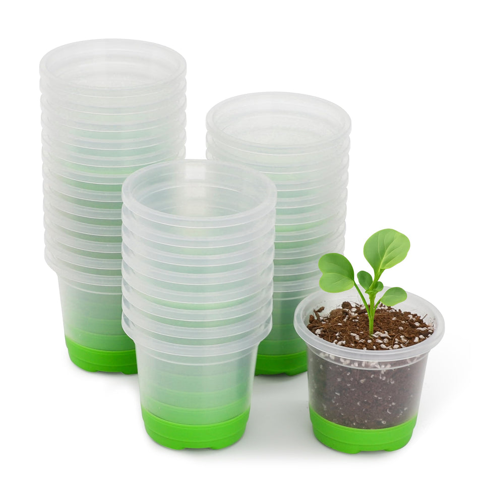 MIXC clear nursery pot with silicone base for easy transplant and healthy roots.