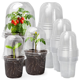 MIXC clear nursery pot with vented humidity dome to support healthier seedling growth.