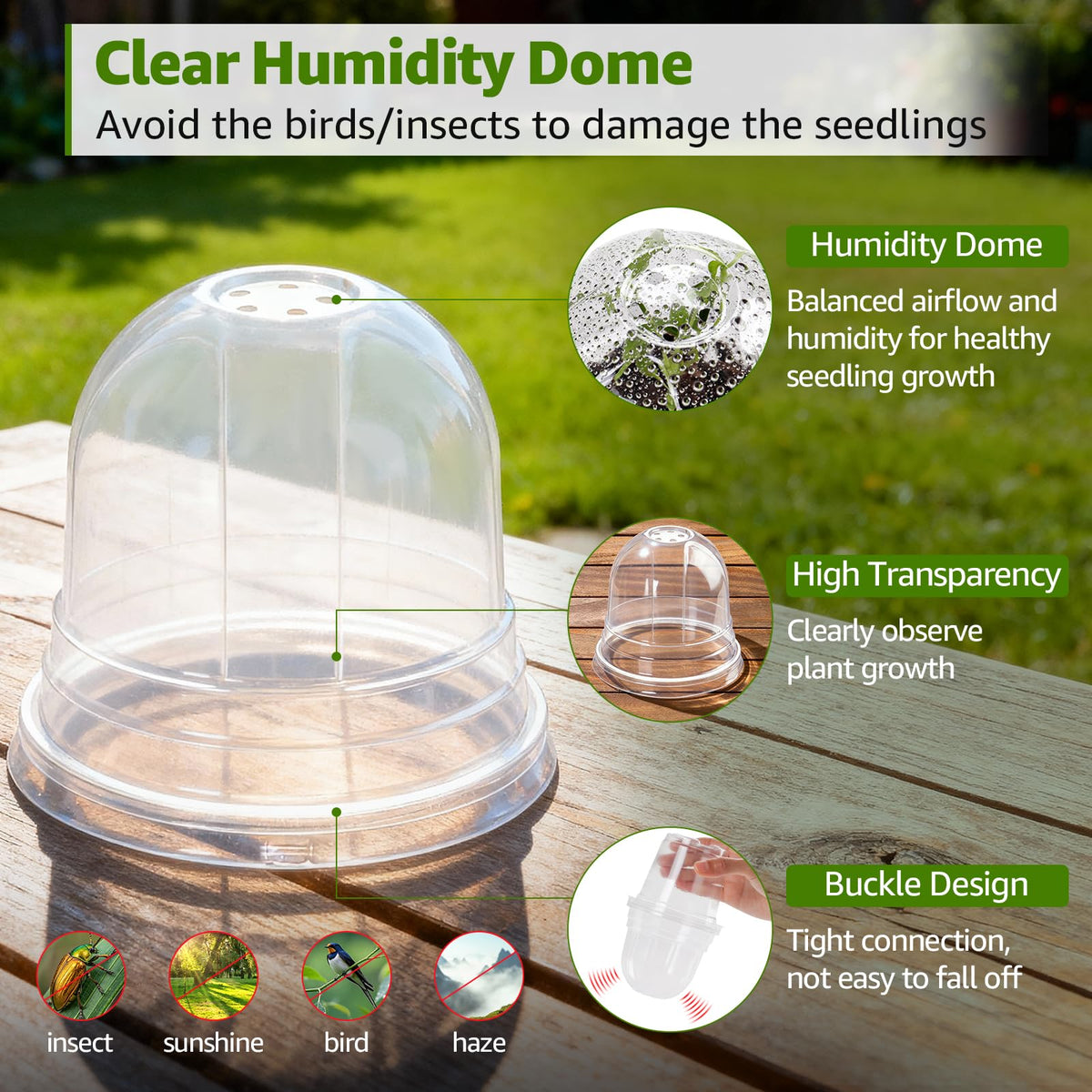 Raised base and drainage holes promote healthy water flow around roots.
