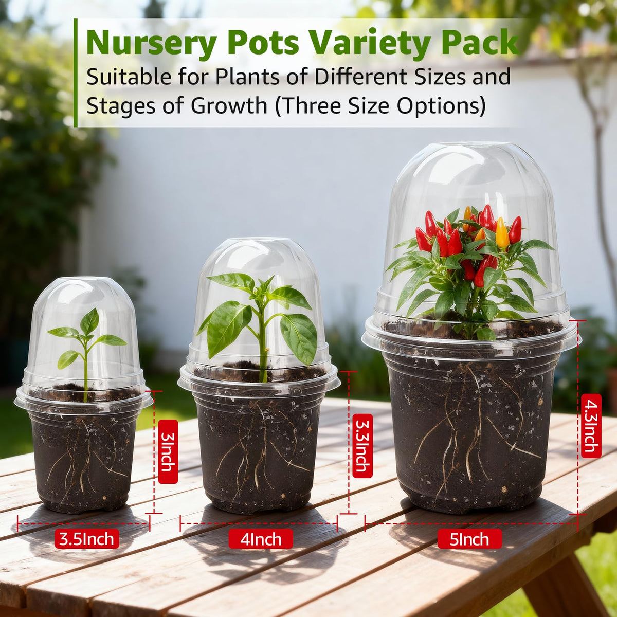 Clear design helps you observe root health without disturbing soil.