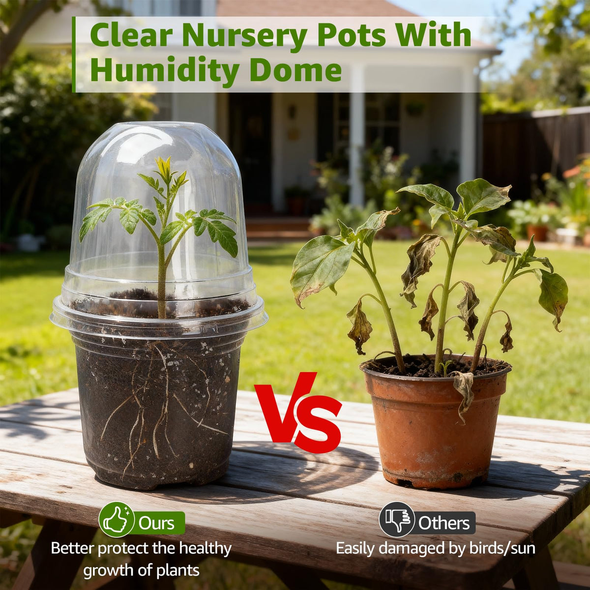 Durable PET plastic is washable, reusable, and resistant to deformation.