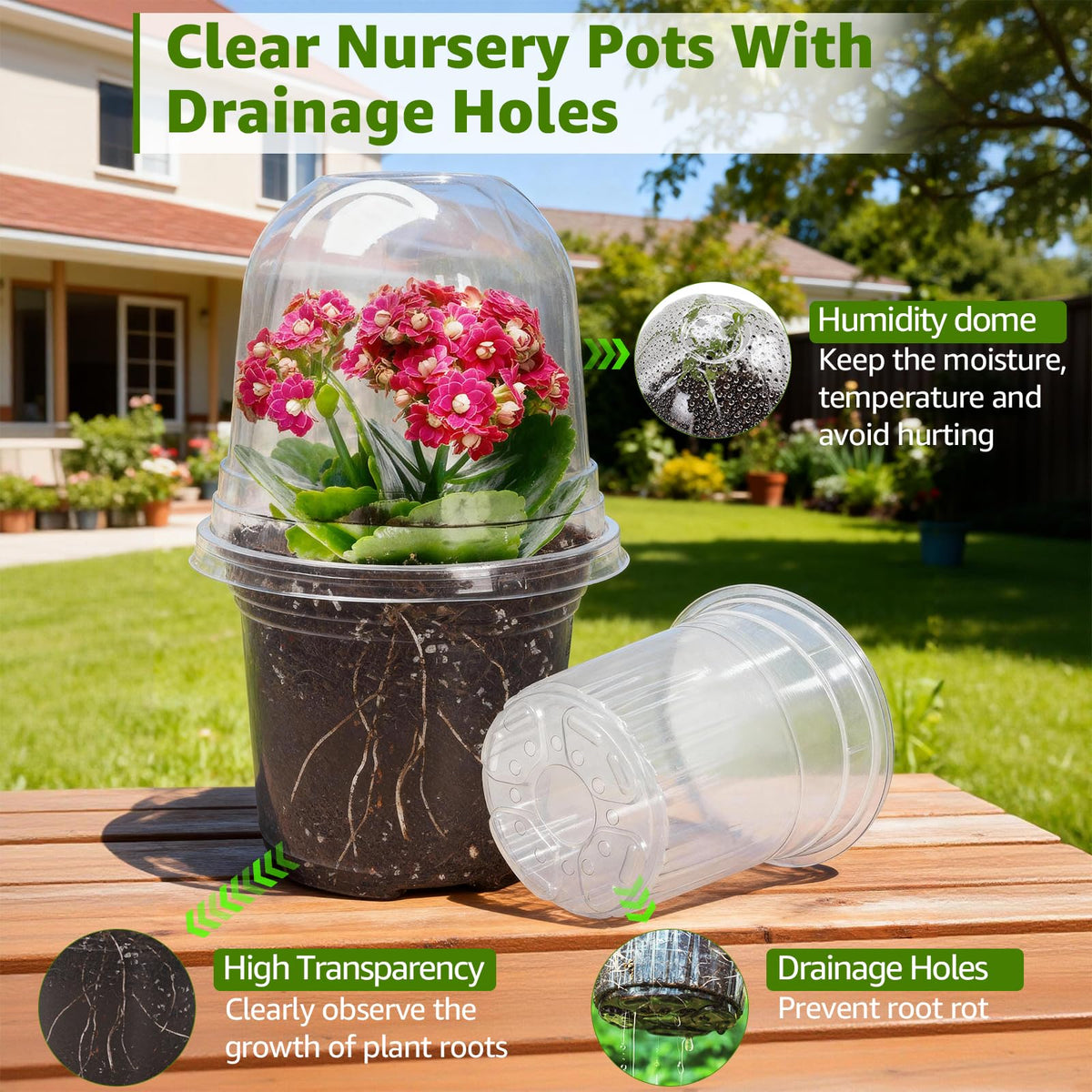 Transparent plastic lets you monitor roots and soil moisture at a glance.