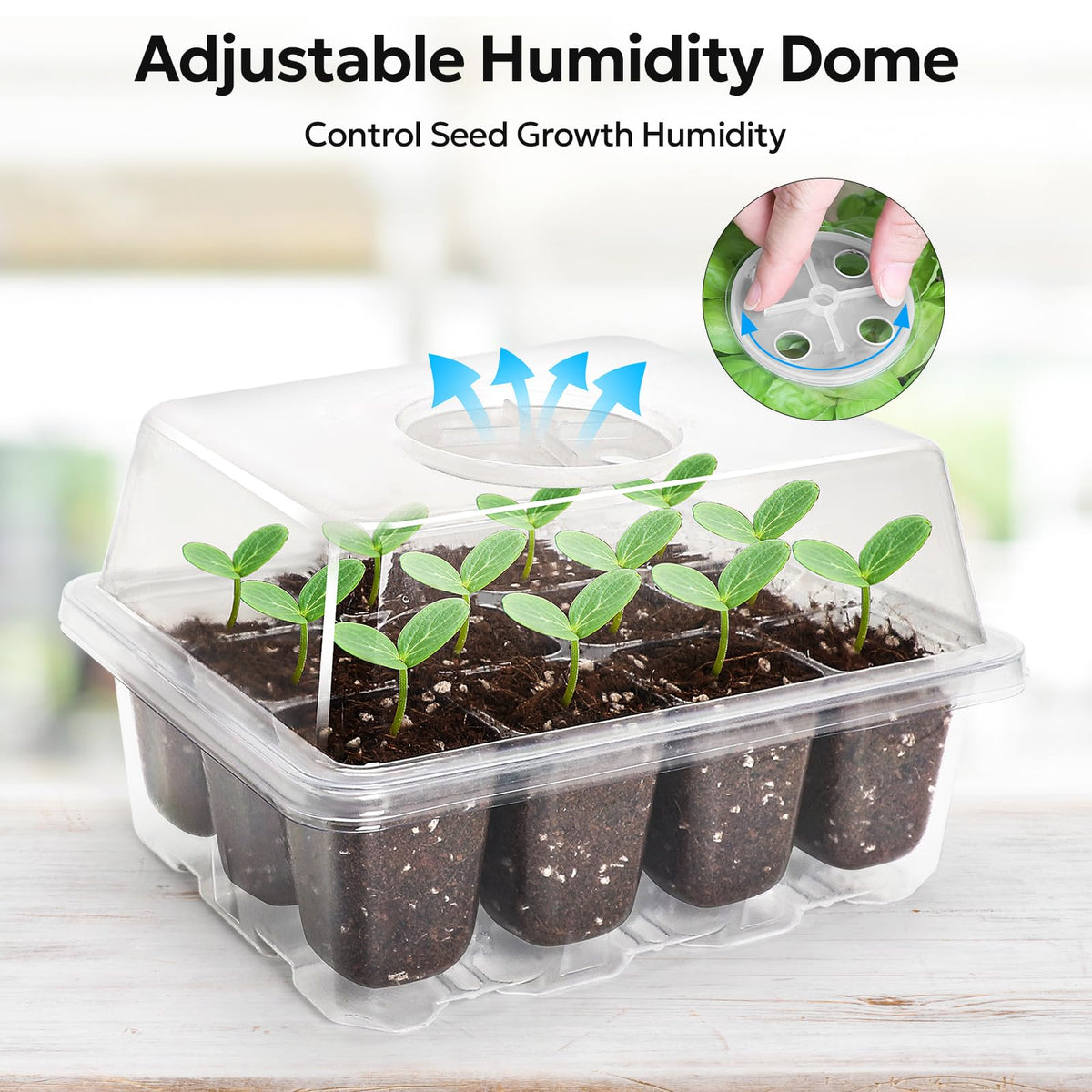 MIXC clear plastic trays let you watch roots and sprouts without disturbance.