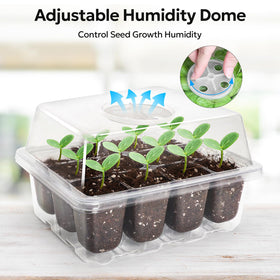 MIXC clear plastic trays let you watch roots and sprouts without disturbance.