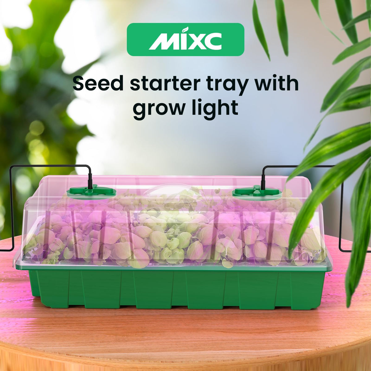 MIXC compact greenhouse kit suits indoor or outdoor seed starting.
