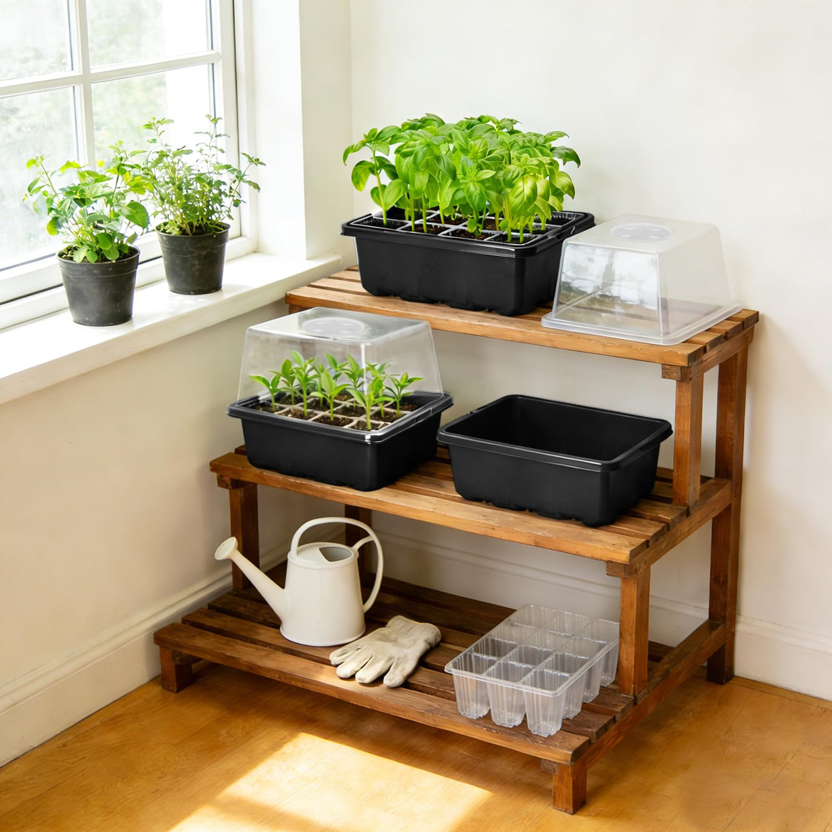 MIXC complete seed starter kit for vegetables, herbs, and flowers