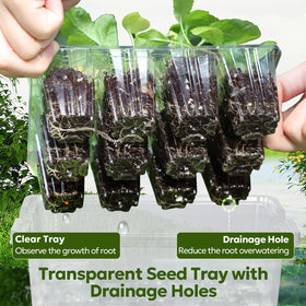 MIXC seed tray with drainage holes prevents overwatering and protects roots.