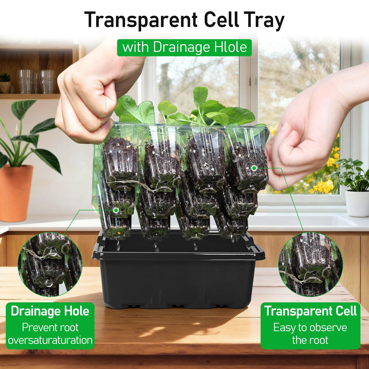 MIXC durable reusable seed tray designed for repeated seasons