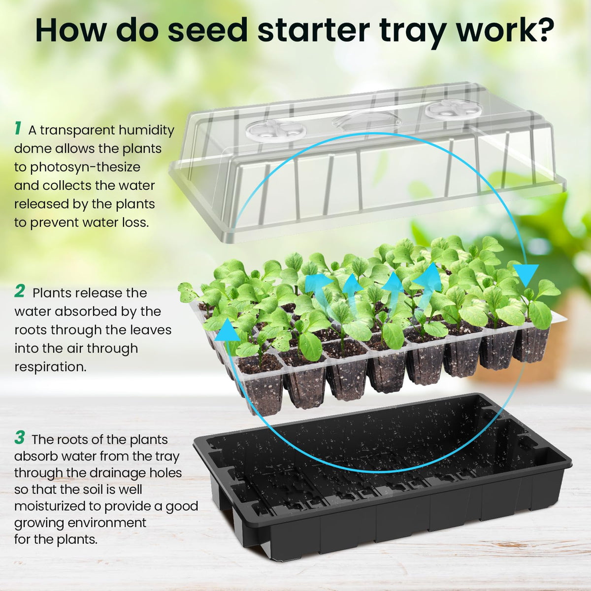MIXC full-spectrum LED light mimicking sunlight for indoor growth.