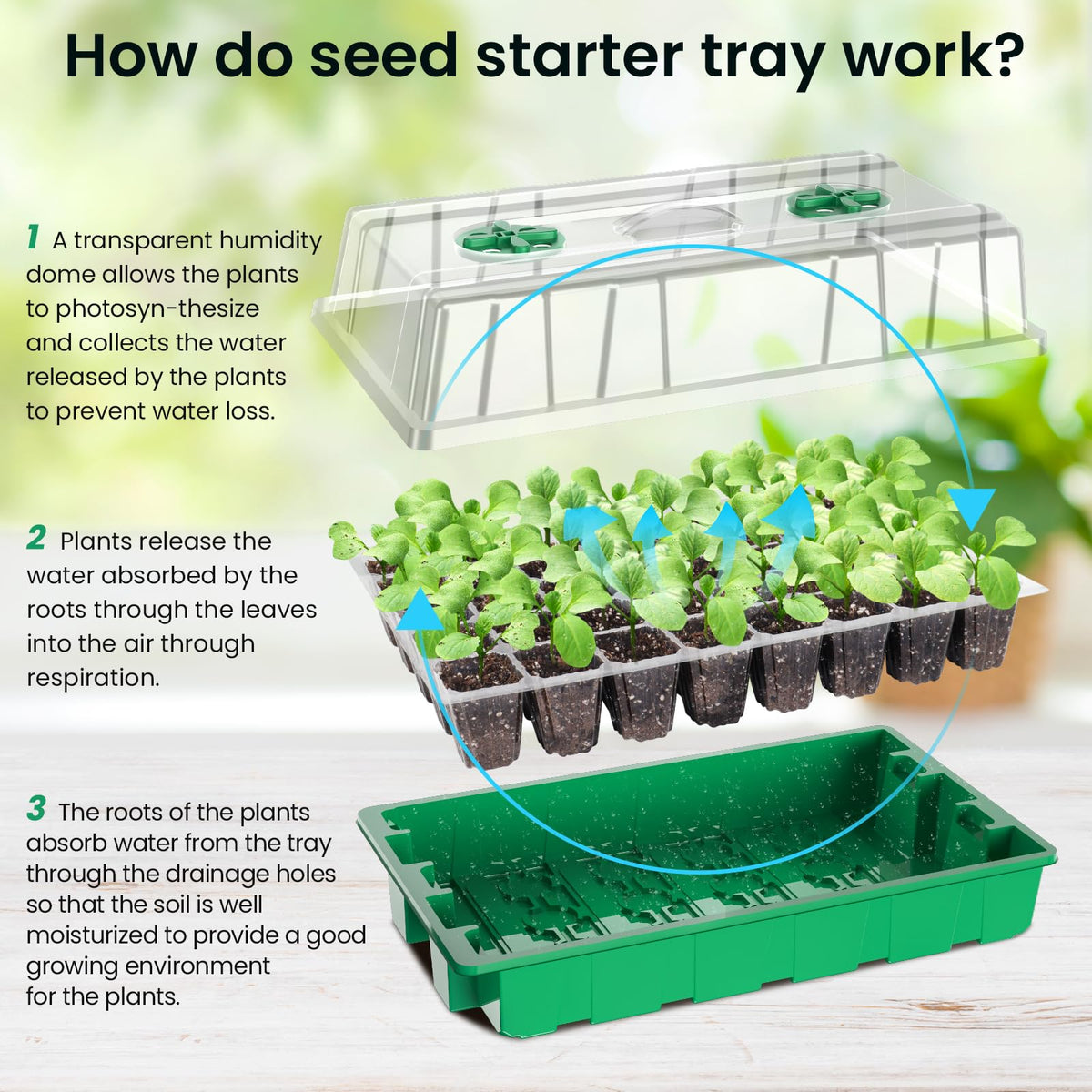 MIXC full-spectrum LED grow light mimics sunlight for healthier indoor growth.