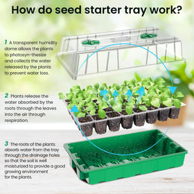 MIXC full-spectrum LED grow light mimics sunlight for healthier indoor growth.