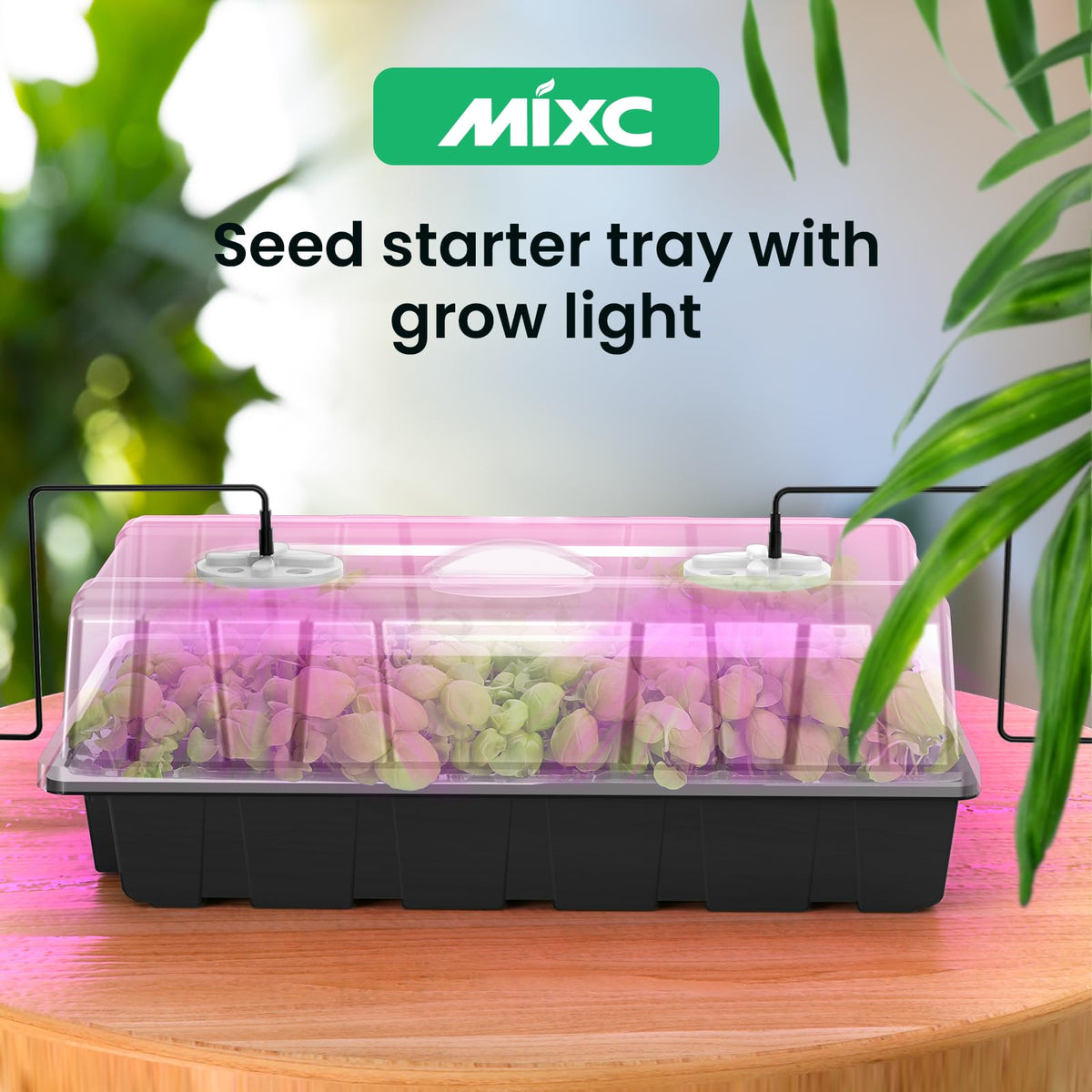 MIXC greenhouse kit setup in a compact indoor seed starting space.