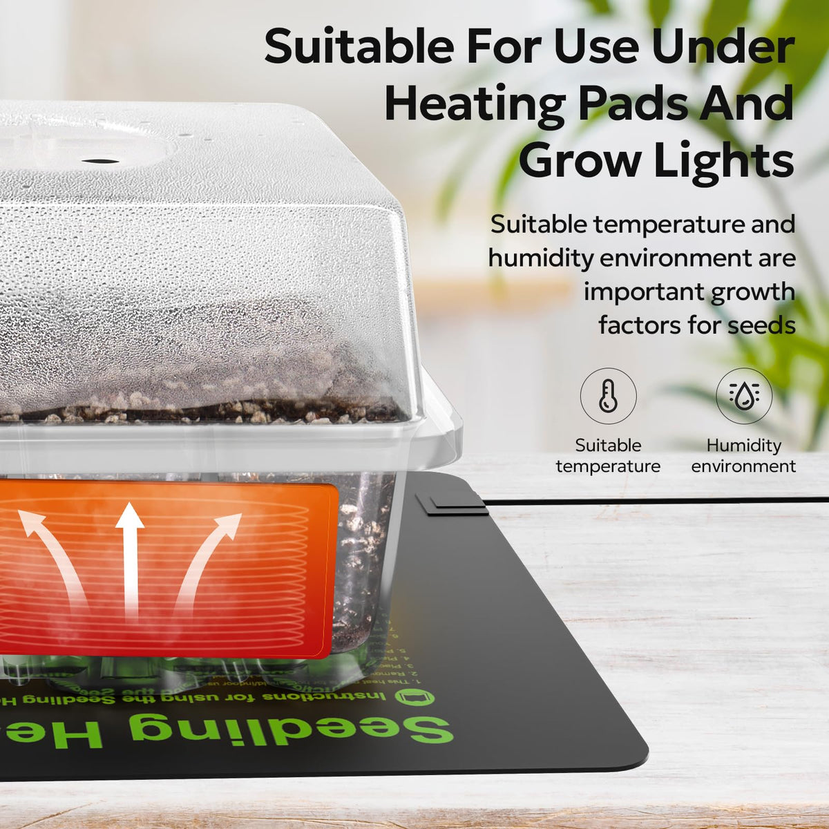 MIXC humidity dome over seed tray enhances moisture retention for germination.