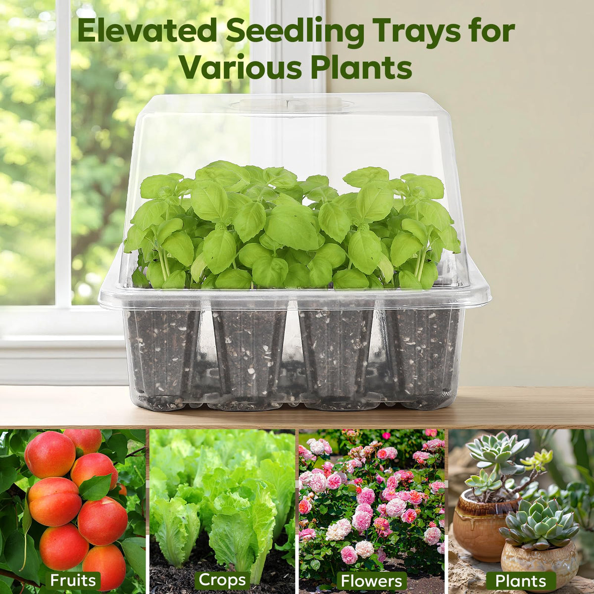 MIXC four-pack seed starter kit supports expanding indoor gardening projects.