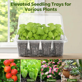 MIXC four-pack seed starter kit supports expanding indoor gardening projects.