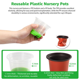 MIXC pot with bottom drainage promotes healthy root respiration.