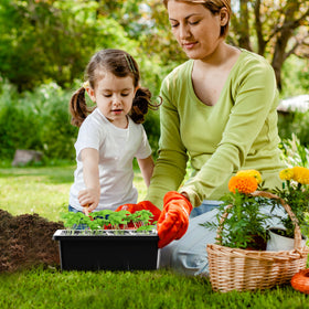 MIXC portable seed starting kit allows indoors movement of trays