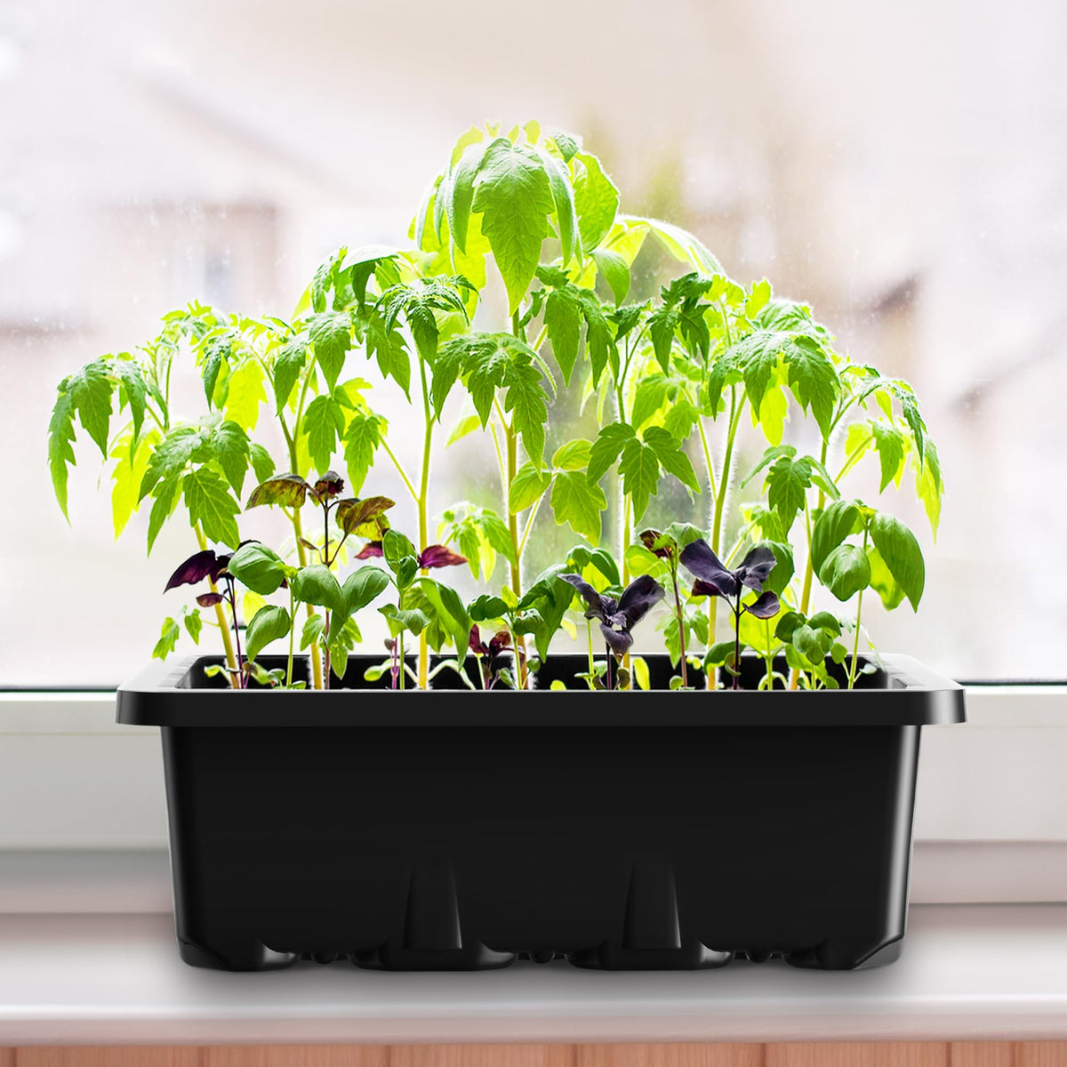 MIXC reusable seed starter kit reduces waste across seasons