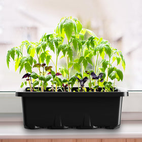 MIXC reusable seed starter kit reduces waste across seasons
